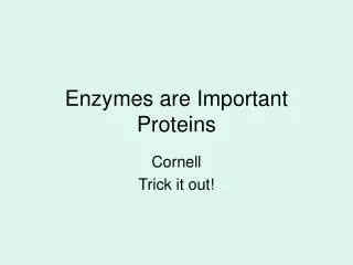 Enzymes are Important Proteins