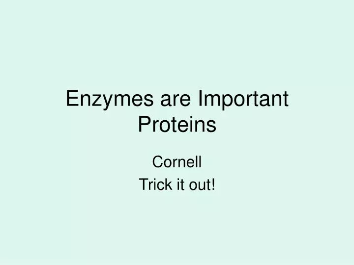 enzymes are important proteins
