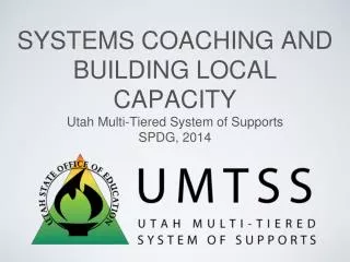 Systems Coaching and Building Local Capacity