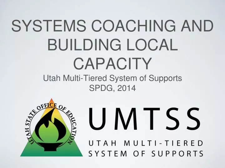 systems coaching and building local capacity