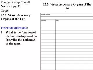 Sponge: Set up Cornell Notes on pg. 71 Topic: 12.6: Visual Accessory Organs of the Eye