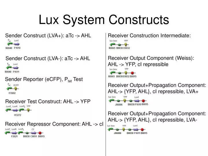lux system constructs