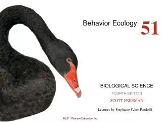 Behavior Ecology