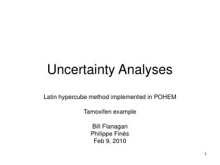 Uncertainty Analyses