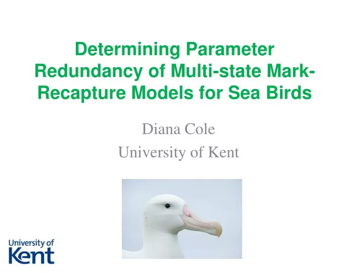 determining parameter redundancy of multi state mark recapture models for sea birds
