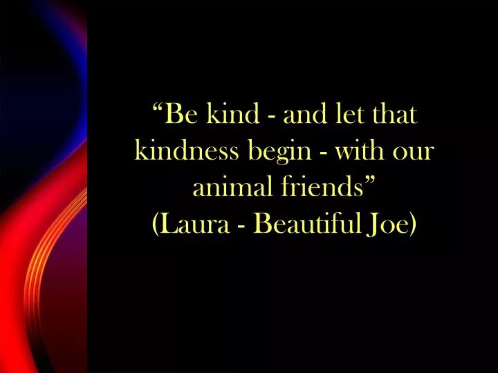 be kind and let that kindness begin with our animal friends laura beautiful joe