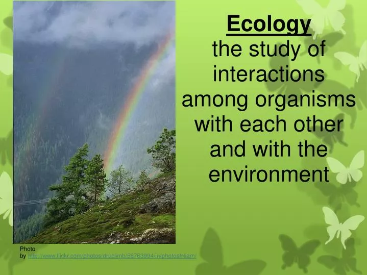 ecology the study of interactions among organisms with each other and with the environment