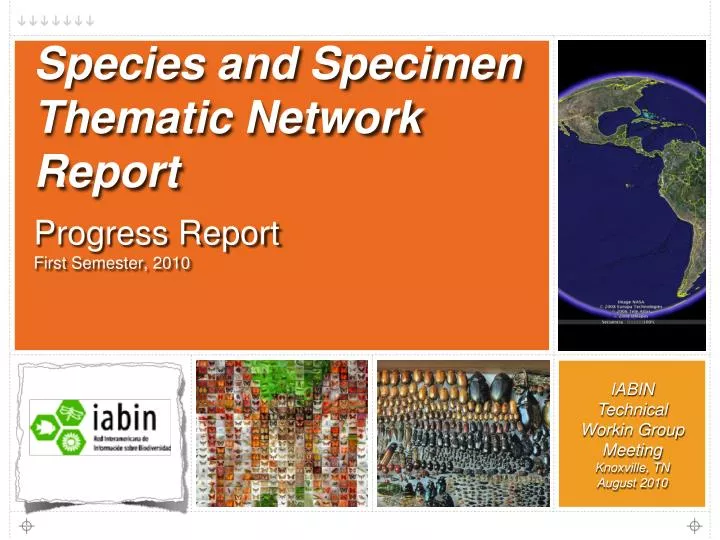 species and specimen thematic network report