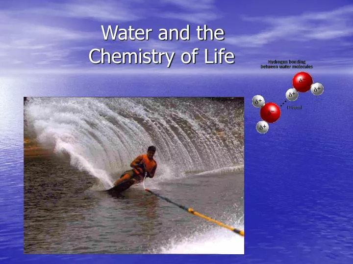 water and the chemistry of life