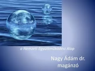 nagy d m dr mag nz