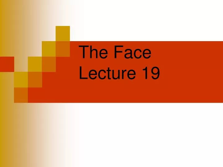 the face lecture 19