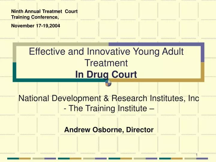 effective and innovative young adult treatment in drug court