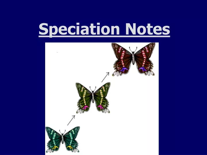 speciation notes