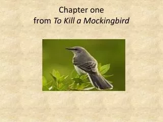 Chapter one from To Kill a Mockingbird