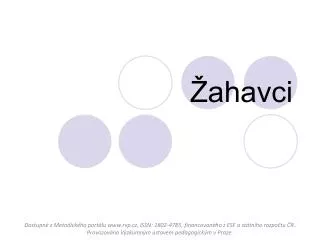 ahavci