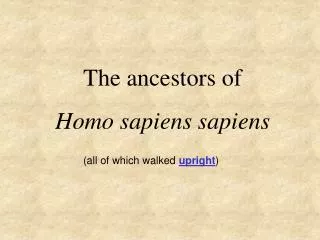 The ancestors of Homo sapiens sapiens