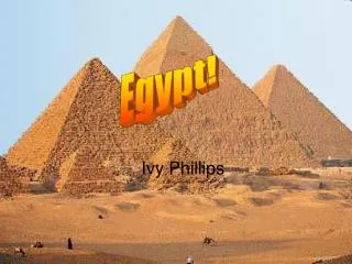 Egypt!