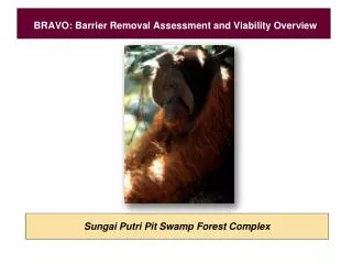 BRAVO: Barrier Removal Assessment and Viability Overview