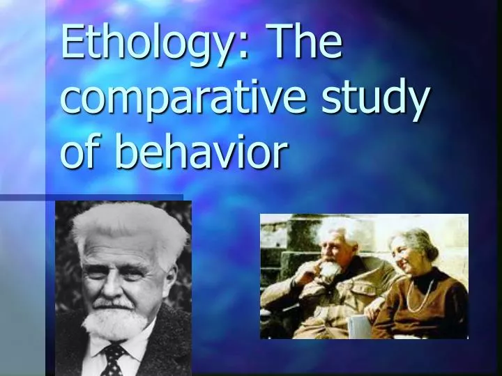 ethology the comparative study of behavior