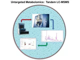 Untargeted Metabolomics: Tandem LC-MSMS