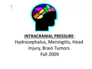 INTRACRANIAL PRESSURE : Hydrocephalus, Meningitis, Head Injury, Brain Tumors Fall 2009