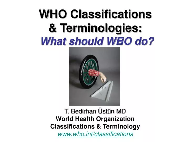 who classifications terminologies
