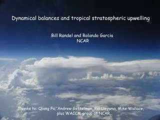 Dynamical balances and tropical stratospheric upwelling