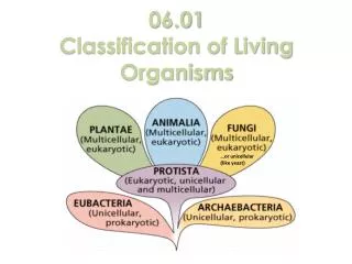06.01 Classification of Living Organisms
