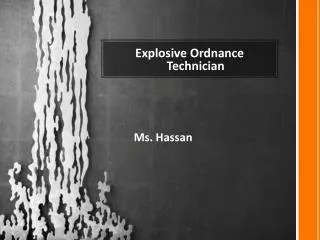 Explosive Ordnance Technician