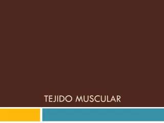 tejido muscular
