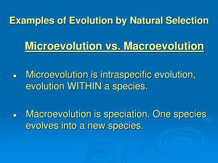 examples of evolution by natural selection