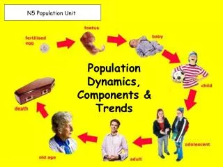 Population Dynamics, Components &amp; Trends