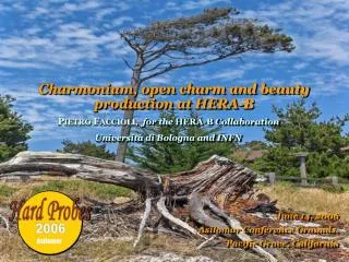 Charmonium, open charm and beauty production at HERA-B