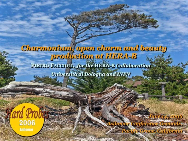 charmonium open charm and beauty production at hera b