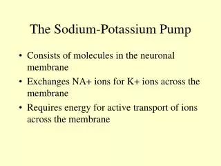 The Sodium-Potassium Pump