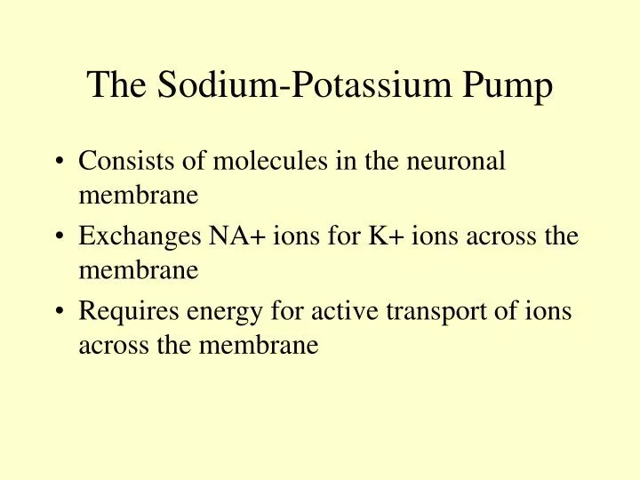 the sodium potassium pump