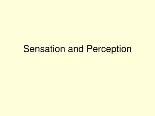 Sensation and Perception