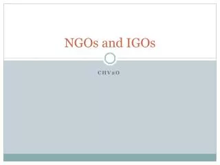 ngos and igos