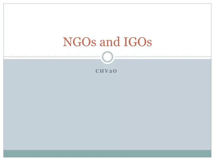 ngos and igos