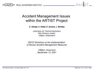 Accident Management Issues within the ARTIST Project