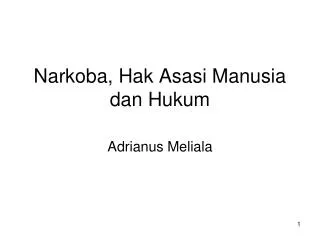 narkoba hak asasi manusia dan hukum