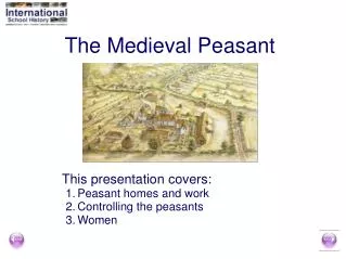 The Medieval Peasant