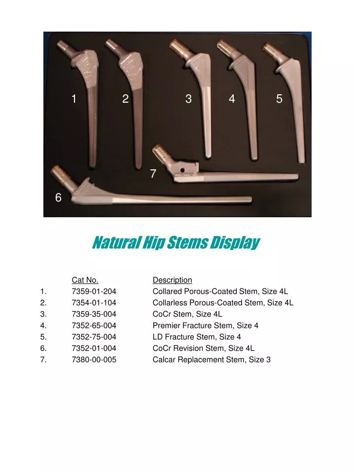 natural hip stems display