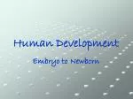 Human Development - slide 1