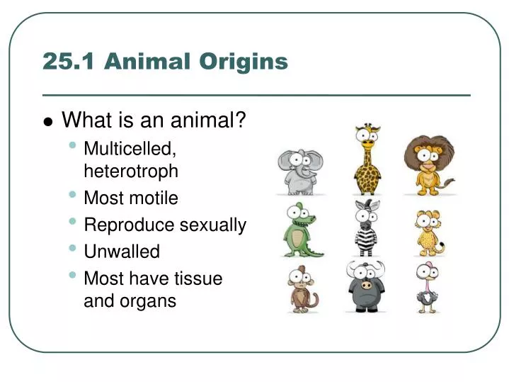 25 1 animal origins