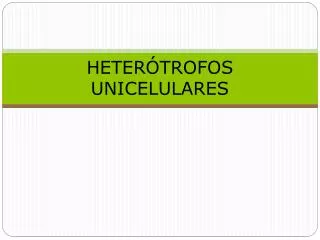 heter trofos unicelulares