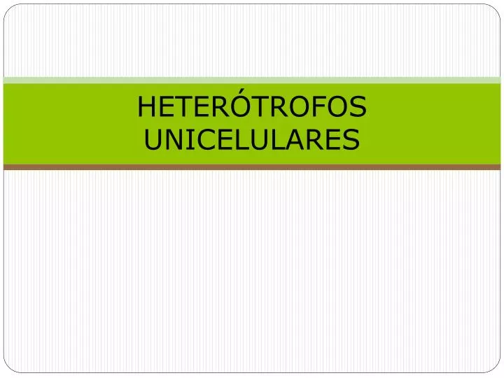 heter trofos unicelulares