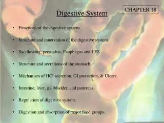 Digestive System