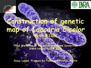 Construction of genetic map of Laccaria bicolor Strain S 238N