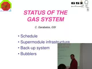 STATUS OF THE GAS SYSTEM C. Garabatos, GSI